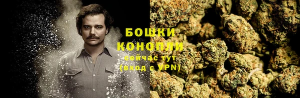 скорость Алзамай