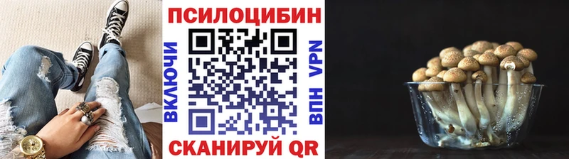 Галлюциногенные грибы прущие грибы  где купить наркотик  Жирновск 